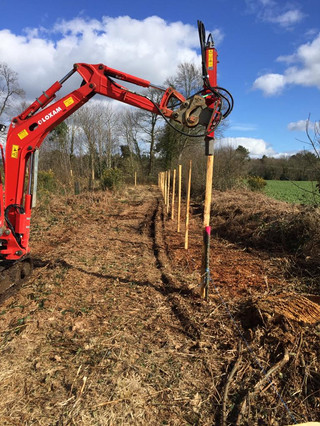 Plantation