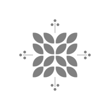 Deco Design Icon
