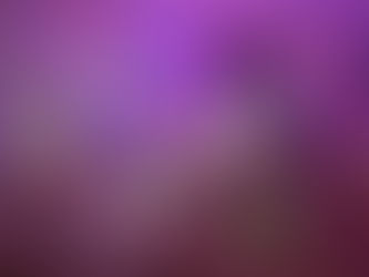 MSHR at the Museum of Arts and Design, NYC