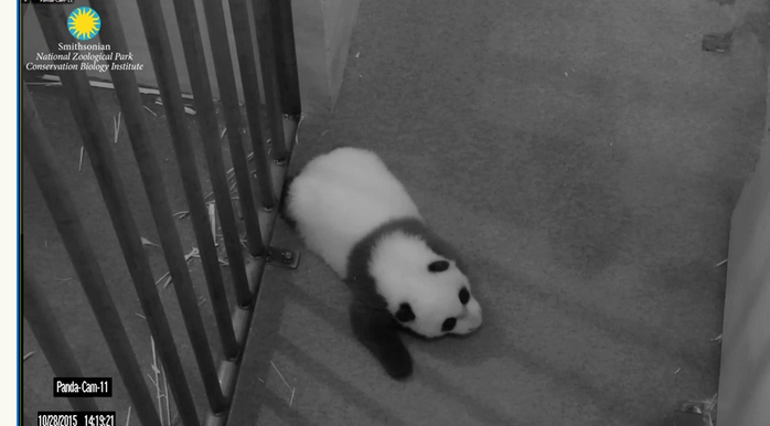 bei bei