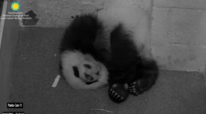 National Zoo