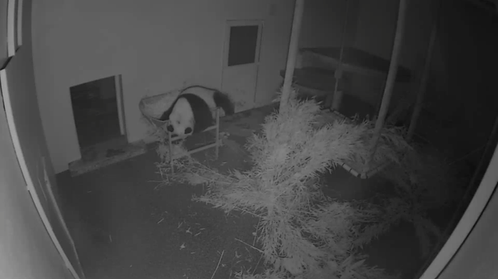 Edinburgh Zoo