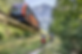 Single+Trail+Wurzeralm_edited.png