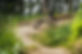 PyhrnPriel_EMountainbiken_bikes&wheelsMarkusKohlmayr_126.jpg