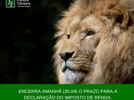 O que fazer caso não consiga entregar a Declaração do Imposto de Renda no prazo!