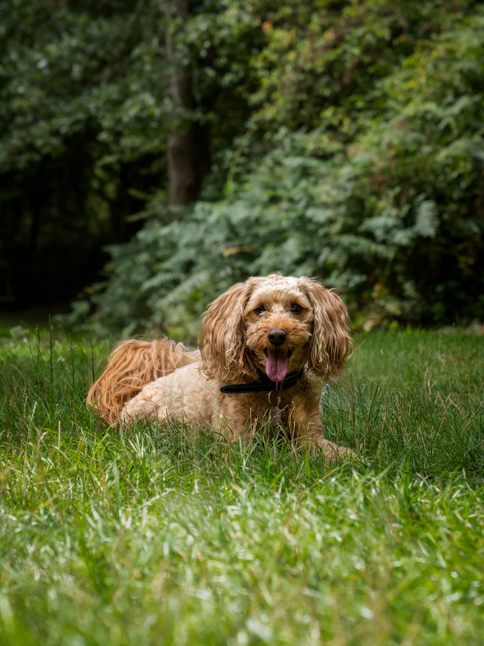 _1139119-Enhanced-NR-Edit-Edit