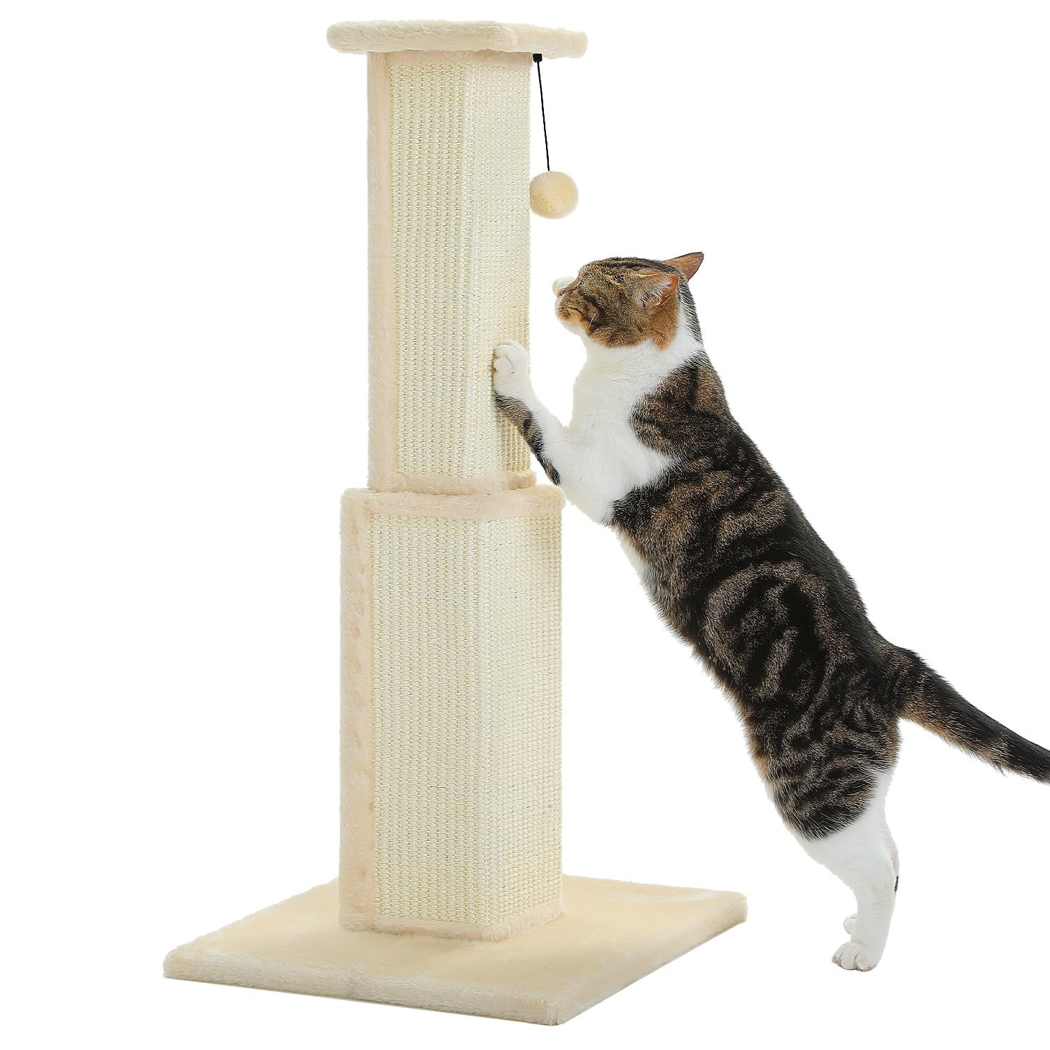 PAWZ Road Large Cat Scratching Post 32” Tall Scratching Post for Indoor Cats Adu
