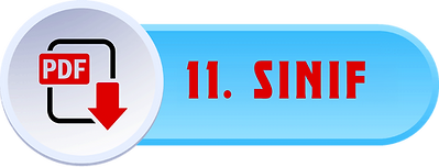 11BUTON.png