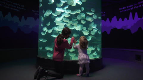Maritime Aquarium TV Commercial January 2022
