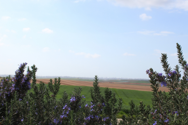 The view from Hetz Hashahor