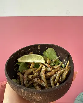 Poissons pecheurs HUBAO.webp