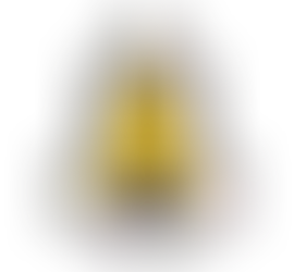 Lecturer (Full-Time / Part-Time)