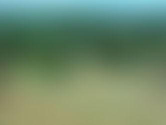 AQUISIÇÃO DE TERRENO PARA CRIAR SEDE