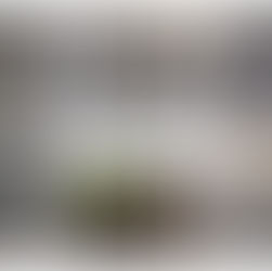 Eco-Garden Spring Update