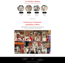 Site Elevage de chats - De Medicis Cattery
