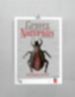 GRAVEX NATURALIS