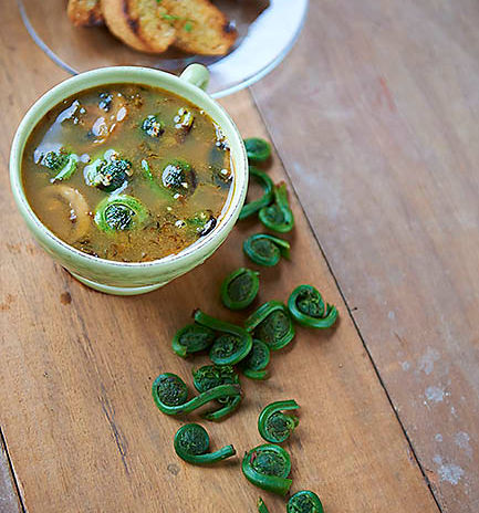 Fiddlehead Soup with Homemade Crostini