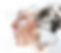 AdobeStock_172482044.jpeg