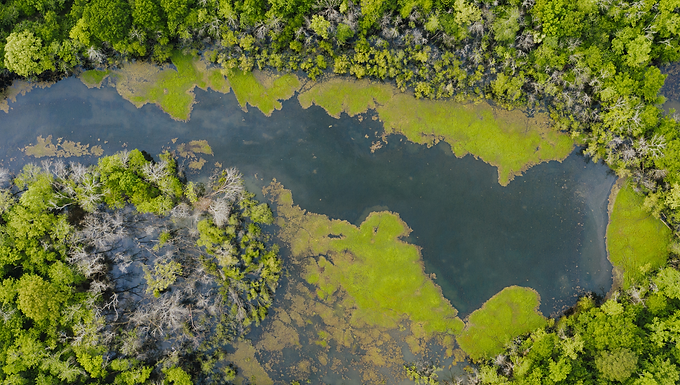  SBTs and Net Zero: Principles, challenges, and good practices (4/4)