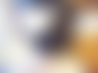 噓~ 正面是秘密。