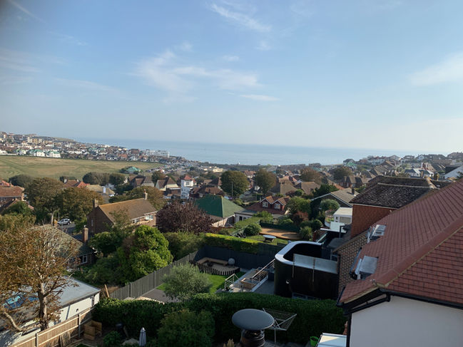 Ecosy Stoves Panoramic & Black Twinwall