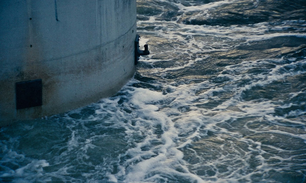 AM BEISPIEL DER AALE_Still_2_©Jona Riese.jpg