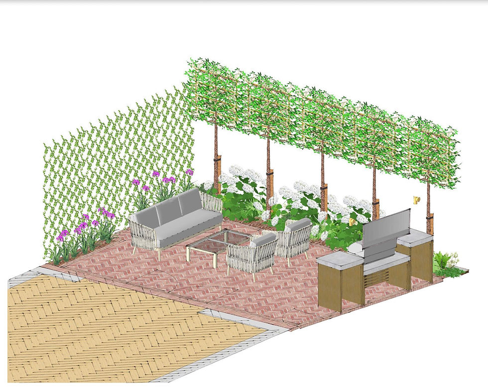 MRLandscapes Garden Design, St Annes Road, Barnes.
