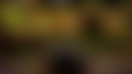 Light the Way This Autumn: Bring Your Garden to Life