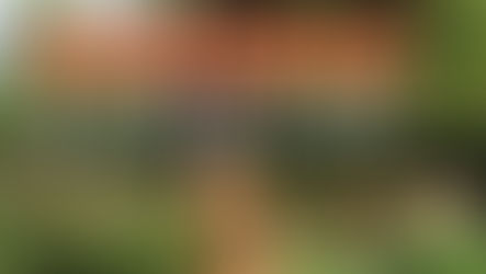 MRLandscapes May Magazine