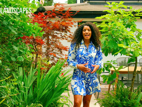 Why Winter is the Best Time to Build Your Garden