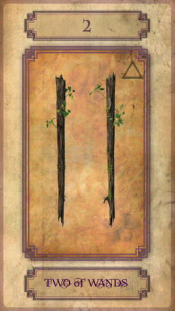 TAROT CARDS66