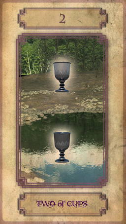 TAROT CARDS24