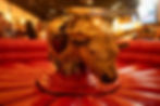 Rodeo Mechanical Bull