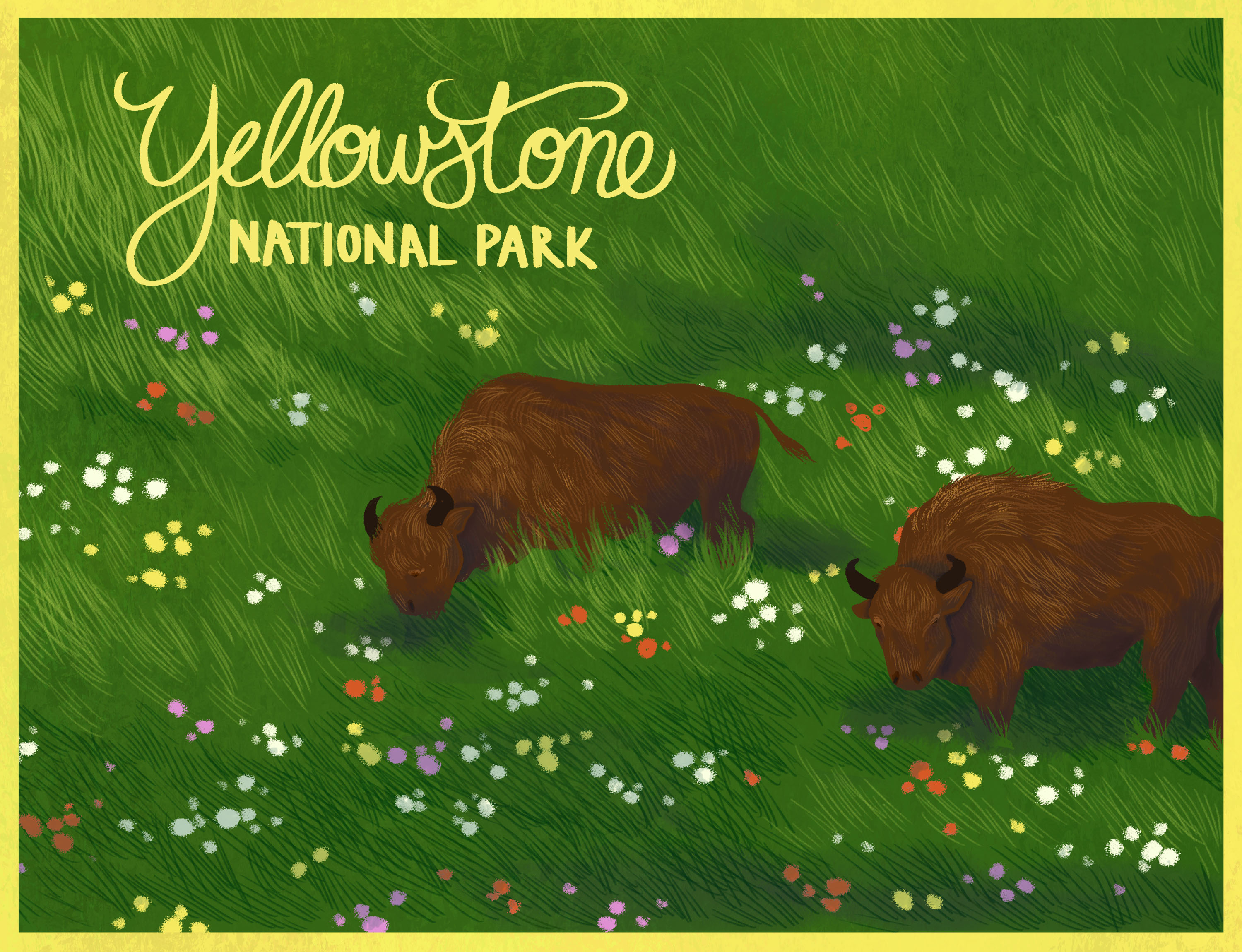 National Park Postcard Illustrations