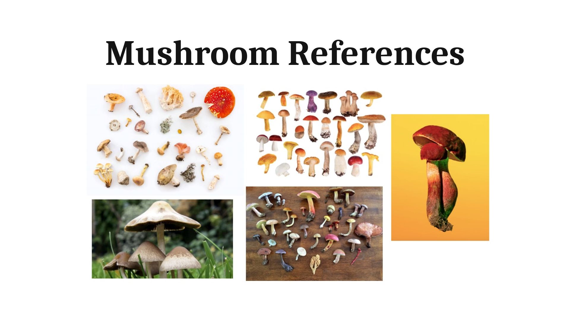 Mythic Mushrooms Pattern
