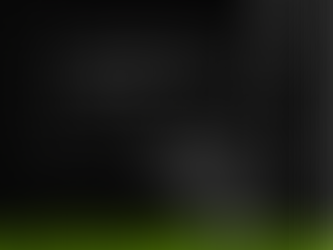 DINE weide-bauern-gansl aus österreich nur 3.-11.11.2025