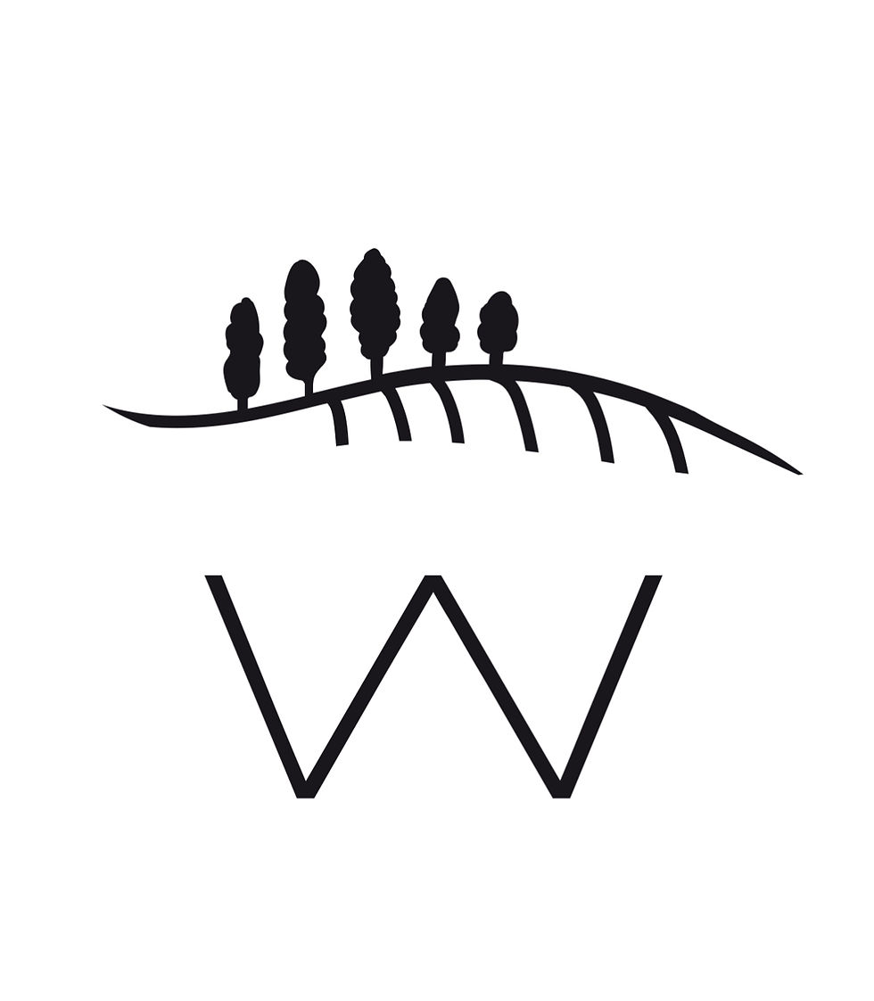 dasweinberg-logo-white..jpeg