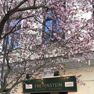 tradition auf neuen wegen