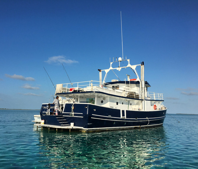 In search of Blue Holes