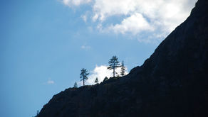 Building Resilience
