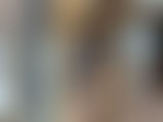 Swedish ladder installation - Loveland, CO