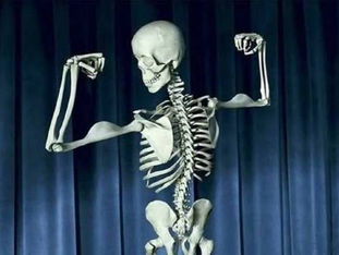 Exercises for Healthy bone