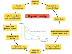 Why physical activity so important to all of us - https://timesofindia.indiatimes.com/blogs