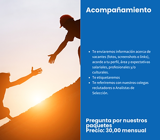 Servicios 1to1 web con precio (1).png