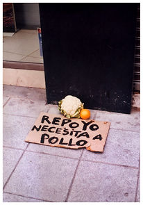 mudanzas-1.jpg