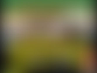 La Galopade des Amoureux à Vouillé - 11/02/2018