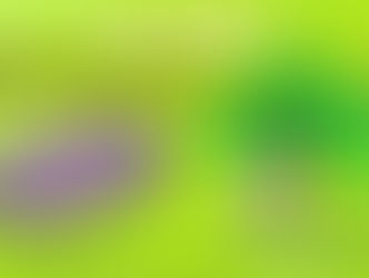 Foulées du rond du chêne à Oyré - 15/05/2016