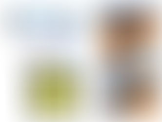 Les Chemins des Cloîtres à Lencloître et les Foulées de Bussière-Poitevine (87)