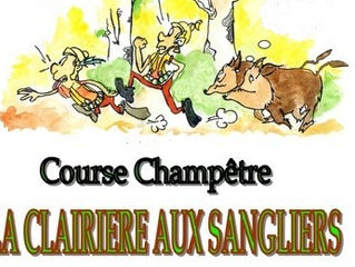 La clairière aux sangliers dans les bois de St Pierre - 06/12/2015