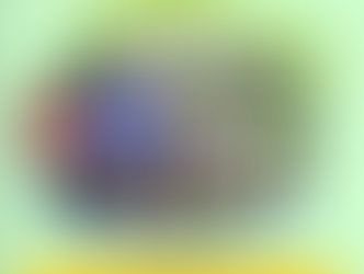 Relais des Asperges à St Cyr - 25/05/2017